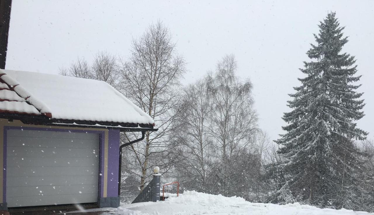 Haus Zeichner 4 Zimmer Ferienwohnung Feldberg  Zewnętrze zdjęcie