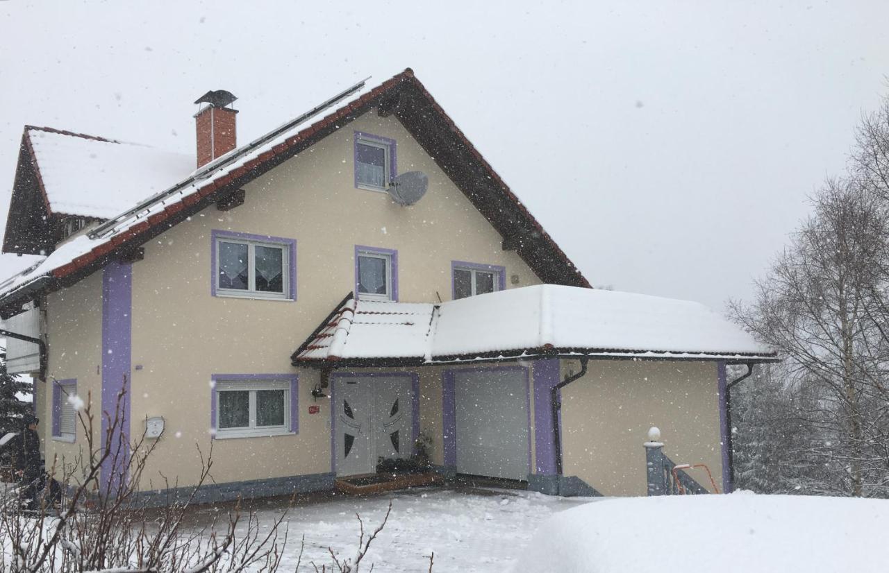 Haus Zeichner 4 Zimmer Ferienwohnung Feldberg  Zewnętrze zdjęcie