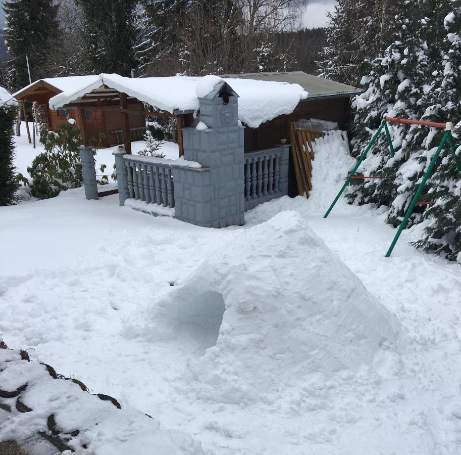 Haus Zeichner 4 Zimmer Ferienwohnung Feldberg  Zewnętrze zdjęcie