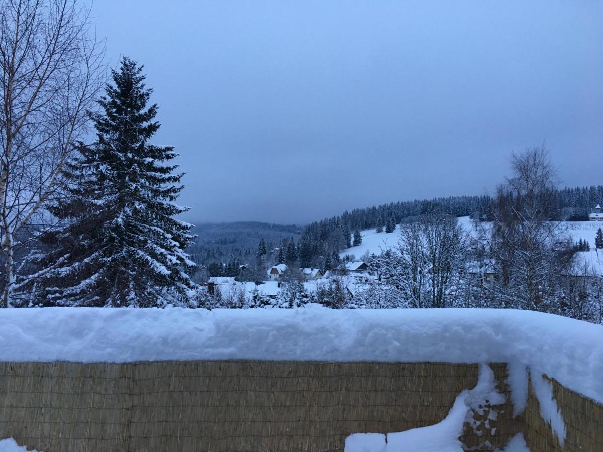 Haus Zeichner 4 Zimmer Ferienwohnung Feldberg  Zewnętrze zdjęcie